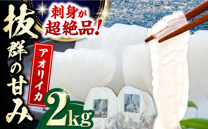 
            対馬産 アオリイカ 2kg《対馬市》【保家商事】烏賊 いか 刺身 海鮮 冷凍 [WAA030]
          
