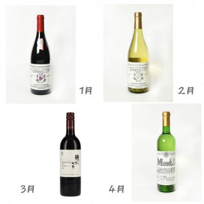 ふるさと納税 韮崎市 【発送月固定定期便】NS-0011 毎月1本定期便  バラエティ豊かな韮崎ワインをお届け!!全12回 |  | 01
