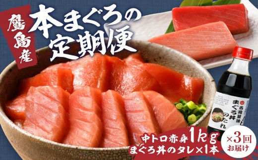 
            【全3回定期便】鷹島産本まぐろ 赤身と中トロ合わせて1kg　まぐろ丼たれ付き【頒布会】( 定期便 海鮮 本まぐろ 中トロ 赤身 マグロ 鮪 松浦市 )【K32-001】
          