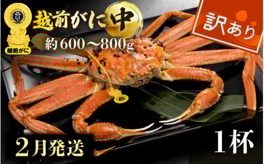 【訳あり】越前がに本場の越前町からお届け！≪浜茹で≫越前がに 中サイズ（生で約600～800g） × 1杯【雄 ズワイガニ 越前ガニ 姿 ボイル 冷蔵 かに カニ 蟹 福井県】【2月発送分】希望日指定可 備考欄に希望日をご記入ください [e49-x008_02]