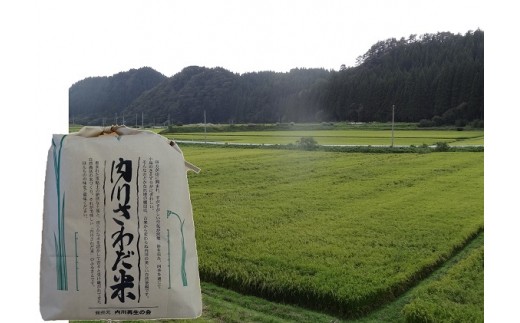内川さわだ米（あきたこまち精米）5kg 「 悠紀の国 」 秋田県五城目町産