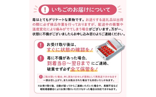 【先行予約／2027年4月発送】いちご 1月 3月 4月 完熟いちご 紅ほっぺ 2パック 850g 以上 無添加 ジャム 6個 セット 完熟 イチゴ strawberry 苺 新鮮 朝摘み 朝採り 産地直送 安心安全 ゆりかーご ichigo itigo 苺 果物 フルーツ くだもの ギフト プレゼント 贈答 ケーキ ふるさと納税 ふるさと納税苺 朝採れ 土耕栽培 静岡県 なごみ果園 伊豆 下田市