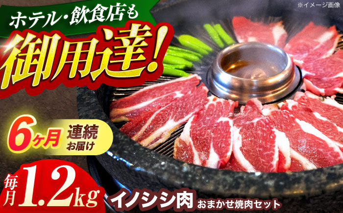 【6回定期便】ジビエ 天然イノシシ肉 おまかせ焼肉セット 1.2kg （ロース・モモ・バラ）【照本食肉加工所】 [OAJ035] / 肉 猪 猪肉 イノシシ イノシシ肉 いのしし しし肉 しし鍋 ボタ