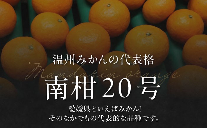 フルーツの代表！愛媛みかん 南柑20号 赤秀10kg箱（100玉～160玉） 