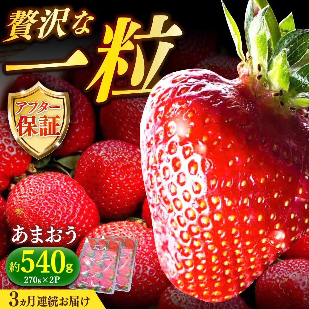 【先行予約】【全3回定期便】農家直送 朝採りいちご 約270g×2パック[ABDG008] いちご