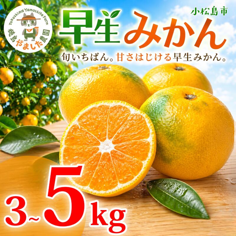【ふるさと納税】 早生みかん 3kg ～ 5kg 【2026年10月下旬順次発送】 【先行予約】みかん 早生 柑橘 果物 くだもの フルーツ 国産 新鮮 甘い 農家直送 徳島県 小松島市