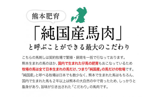 手作りハン馬ーグ 《30日以内に出荷予定(土日祝除く)》 100g×10個 馬肉100%配合！【熊本肥育】---gkt_fkgumburg_30d_23_12000_10k---