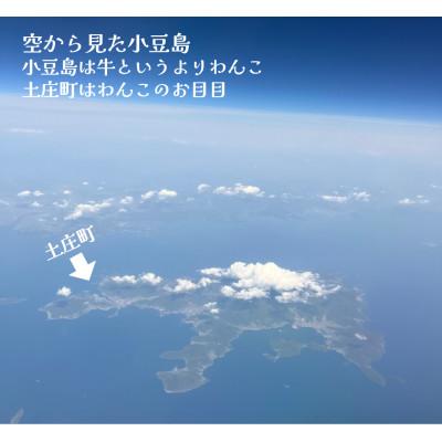 ふるさと納税 土庄町 季節限定　摘みたて100%小豆島産三代松家オリーブの新漬け80g×1袋 |  | 03