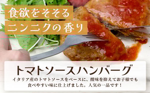  レンチン ハンバーグ  ≪4種のソース お楽しみセット≫ 10個