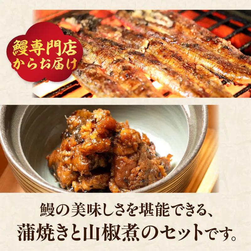 【敬老の日ギフト】 うなぎ料理入舟 蒲焼3尾＋鰻山椒煮 ≪9月21日お届け≫ E07007-K