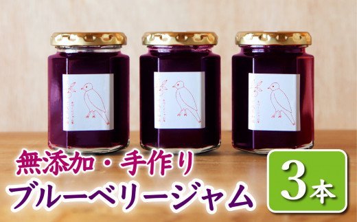 【ふるさと納税】 ブルーベリージャム 3本 ＜160g × 3本＞　手作り こだわり ジャム ブルーベリー 保存料 着色料 不使用 ジャム フルーツ 果物 果肉 パン 朝食 朝ご飯 贈り物 贈答 箱詰め プレゼント ギフト 手作り ハンドメイド 詰め合わせ スイーツ おやつ KA-25