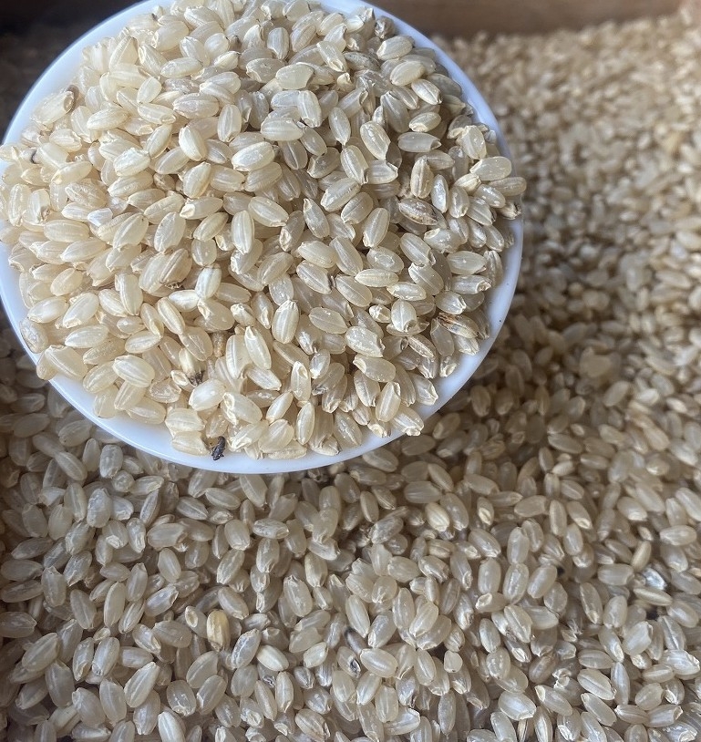 米 令和7年度産 玄米 10kg(5kg×2) 東京都青梅市産/令和7年 玄米(キヌヒカリ)10kg(5kg×2) 青梅市