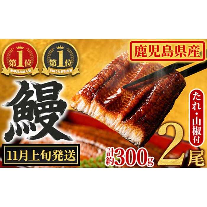 【0104347a-2611】＜11月上旬発送予定＞東串良町のうなぎ蒲焼(無頭)(2尾・計約300g・タレ、山椒付) うなぎ 高級 ウナギ 鰻 国産 蒲焼 蒲焼き たれ 鹿児島 ふるさと 人気【アクアおおすみ】