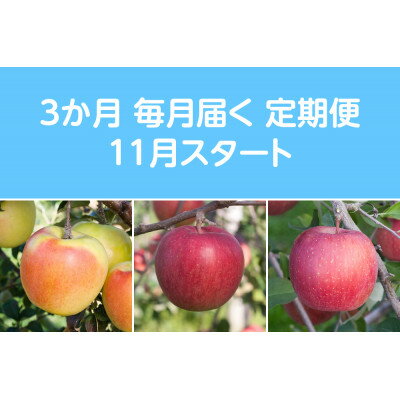 【ふるさと納税】【発送月固定定期便】先行予約〈2026年11月より順次発送〉甘味系・青森県産りんご約3kg 全3回【配送不可地域：離島・沖縄県】【4051689】