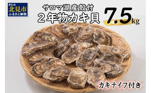 【予約：2025年10月より順次発送】【カキナイフ付】海のミルクサロマ湖産殻付2年物カキ貝 7.5kg 60～75個入 ( 魚介類 海鮮 魚介 牡蠣 かき カキ )【031-0019】