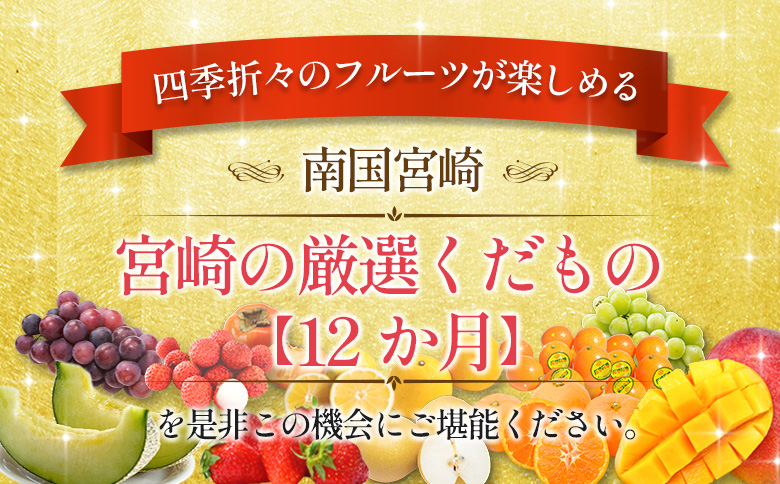 青果店 チョイス！くだもの 定期便 Vol.5（全12回）国産 フルーツ 果物 1年間 毎月お届け 産地直送【F148-26】