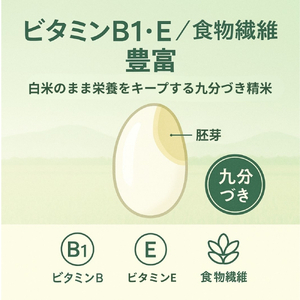 【先行予約】新米 5kg たはらの お米 おこめ 米 コメ ごはん ご飯 おかず 白飯 白ごはん お弁当 精米 お取り寄せ 災害 備え 愛知県 田原市 人気