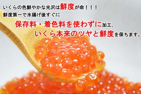 北海道産 網元特製 塩いくら 鮭卵 計 400g (200g×2)