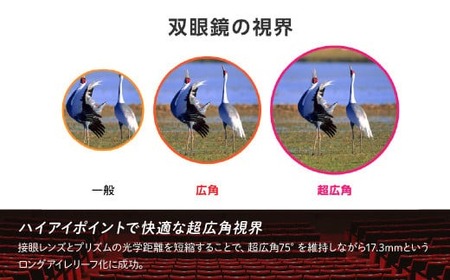 双眼鏡 ビクセン SW10×25WP | 双眼鏡 vixen FN-Limited-PR