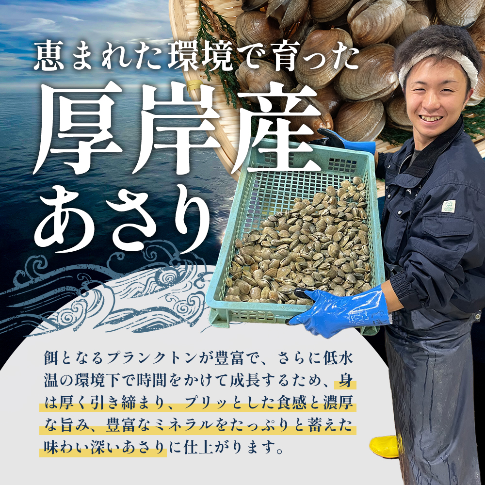 【4月～6月発送】あさり 北海道 厚岸産 北海あさり 1.5kg (500g×3パック) 砂出し済み アサリ 魚介 貝 海鮮