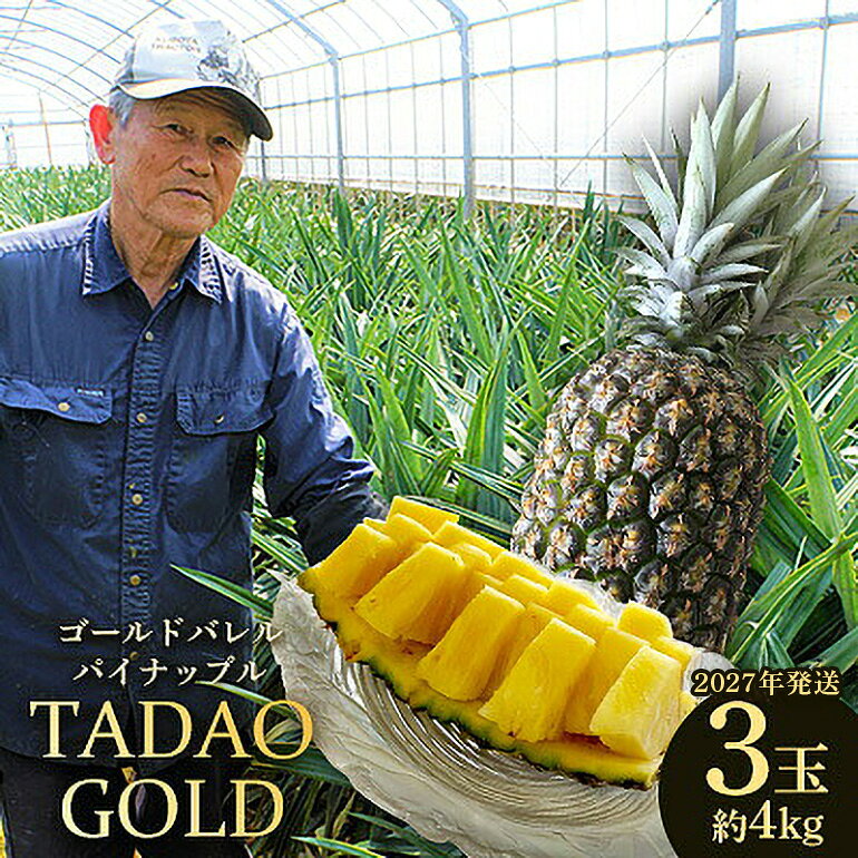 【ふるさと納税】TADAO GOLD　3玉　約4kg（多冠芽含む）【ゴールドバレル】2027年発送 ゴールドバレル パインアップル タダオゴールド たまき ただお 逸品 パイン職人 最高級 国産パイン パイナップル パイン 匠 高級フルーツ 南国フルーツ 特別 希少 玉城忠男 農家直送