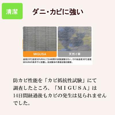 ふるさと納税 出雲市 MIGUSAキッチンマット(1.8m-グラウンド)【1_6-016】 |  | 03