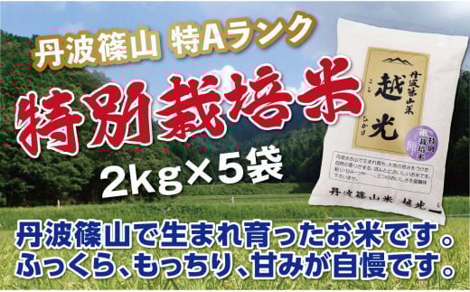 【令和7年産 2025年9月以降、順次発送】丹波篠山産　特Aランク　特別栽培米　越光（２ｋｇ×５袋） 兵庫県 丹波篠山市 白米 100％単一原料米 産地直送米 贈答 おいしい お米 精米 コシヒカリ ブランド おこめ 健康 ギフト 内祝い 贈り物 送料無料 おすすめ 人気 口コミ