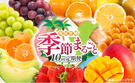 【10回定期便】旬 人気 フルーツ 南国宮崎産 マンゴー 金柑たまたま シャインマスカット ピオーネ いちご みかん 日向夏 メロン 柑橘 きんかん ぶどう 果物 詰め合わせ 宮崎県 九州＜E-3コース M700＞