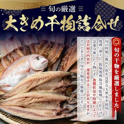 ふるさと納税 日置市 大きめ干物詰合せ 計3.6kg!【みのだ食品】No.406-B |  | 01