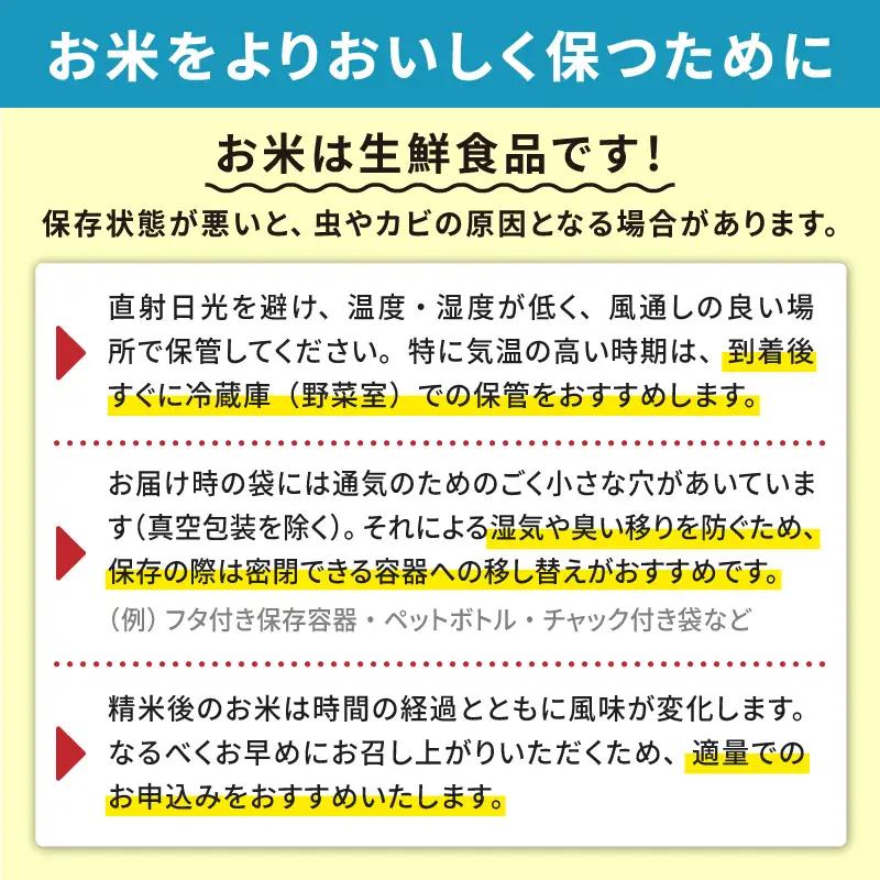 《先行予約》【9ヶ月定期便】無洗米 令和8年産 あきたこまち 20kg 無洗