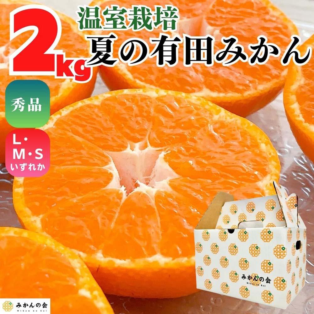 【ふるさと納税】【5月出荷予定】ハウスみかん 温室栽培 夏の有田みかん 2kg 秀品 S・M・Lサイズのいずれか 和歌山県 産地直送 みかんの会 | 有田みかん みかん ハウス 秀品 フルーツ お取り寄せ