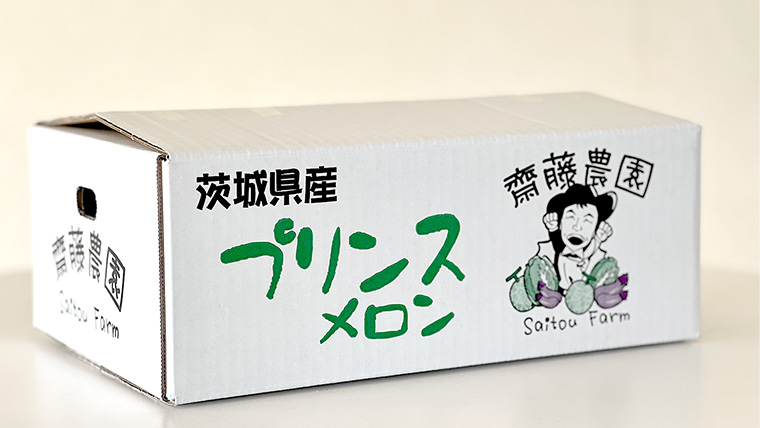 農家直送 プリンスメロン 1箱 約5kg ( 7～8玉入り ) 【 2025年5月下旬以降発送 】【 先行予約 】 期間限定 産地直送 果物 フルーツ メロン 甘い [CM001ya]