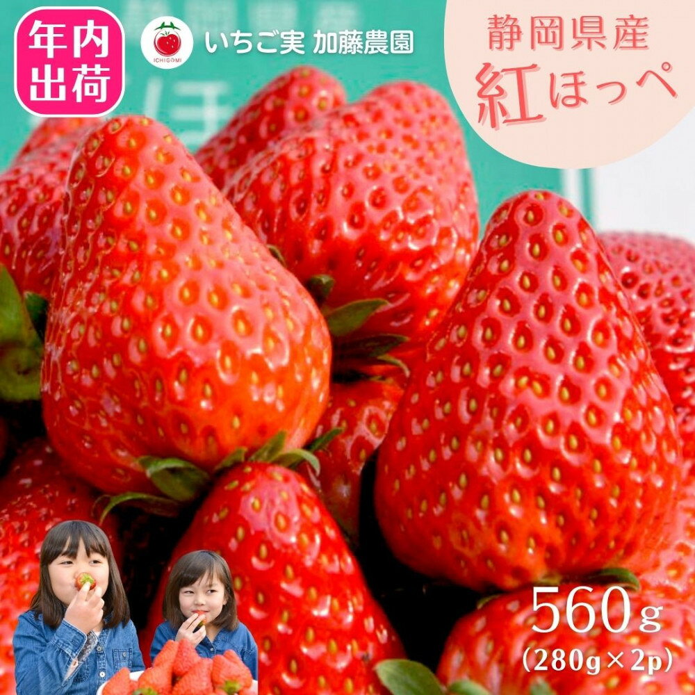 【ふるさと納税】【2026年内お届け！！】静岡県産いちご 紅ほっぺ 280g×2パック（1パック12～15粒） 冷蔵配送【配送不可：北海道・沖縄・離島】 苺 フルーツ◇ | いちご 紅ほっぺ 冷蔵 フルーツ 果物 くだもの 食品 人気 おすすめ 送料無料