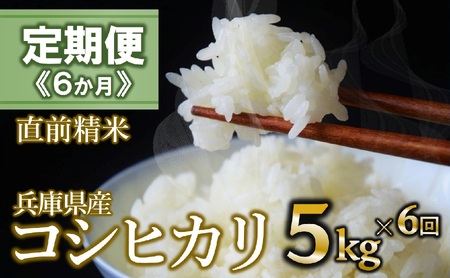 【定期便/６回】コシヒカリ 白米5kg ×6か月連続お届け