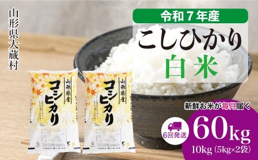 ＜令和7年産米＞ こしひかり 【白米】 定期便 60kg （10kg×1ヶ月間隔で6回お届け）＜配送時期選べます＞