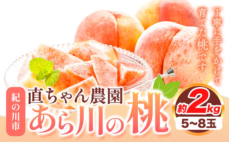 
            あら川の桃 約2kg(5～8玉) 直ちゃん農園【先行予約】《7月中旬-8月末頃出荷》 和歌山県 紀の川市 果物 フルーツ 桃 もも モモ なつっこ 川中島白桃 晩白桃 旬 送料無料
          