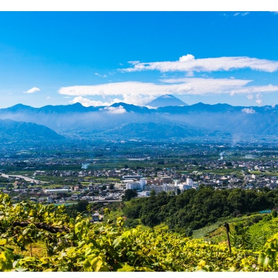 銀河農園まきおかのシャインマスカット(種なし)約1.5kg(2～3房)【配送不可地域：離島】