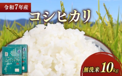 ★無洗米★ 新米 令和7年 彦根産 コシヒカリ 10kg（5kg×2袋）こしひかり 米 お米 白米 無洗米 こめ コメ おこめ ごはん おすすめ ご飯 送料無料 滋賀 彦根 ひこね