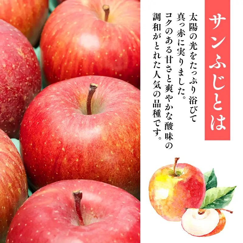 りんご 贈答用  サンふじ 約5kg 【hi-0005-016】