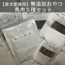 【ふるさと納税】【 愛犬 ・ 愛猫 用】無添加 おやつ 馬肉 5種セット　【 ぺットフード ジビエ 食品添加物無添加 安全 おやつ 国内製造 自社工場製造 素材の香り タンパク質 低脂肪 おやつ ダイエット中 】