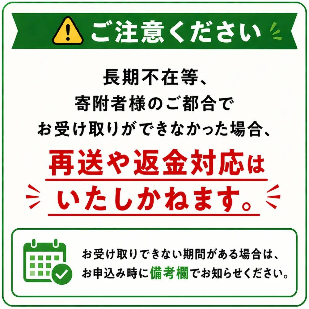 美瑛のスコーン 10個 セット bi.ble