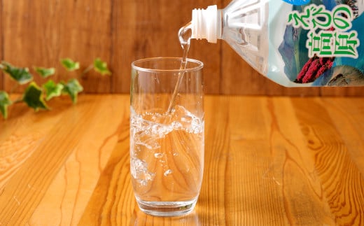 シリカ水 名水 えびの高原 備蓄水(防災 災害 等) 2L 合計12本 6本入×2ケース 飲料水 水 お水 シリカ ペットボトル ミネラルウォーター 常温 天然水 宮崎県 九州 送料無料 保存水 防災