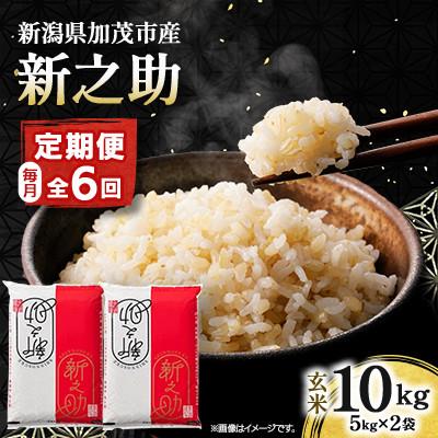 ふるさと納税 加茂市 【発送月固定定期便】新之助 玄米10kg　4月上旬より順次発送全6回