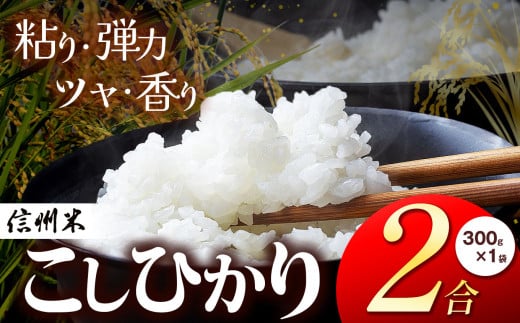 信州松本産 こしひかり 白米 2合(300g) 1袋 │信州 松本市 米 お米 コシヒカリ こしひかり アルプス 国産米 長野県産 おすすめ 白米 ふっくら 田畑 農家 ふるさと納税 松本市 美味しい