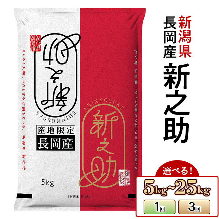 【ふるさと納税】令和7年産 新米予約 米 新之助 定期便 5kg 10kg 20kg 25kg 選べる 1回 3回 3ヶ月 新潟 精米 白米 お米 新潟県長岡産新之助（田中米穀）