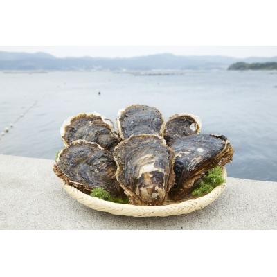 ふるさと納税 陸前高田市 夏が旬! 殻付き岩牡蠣 約2kg 冷蔵 カキ 牡蠣 バーベキュー 数量限定 かき小屋広田湾 |  | 01