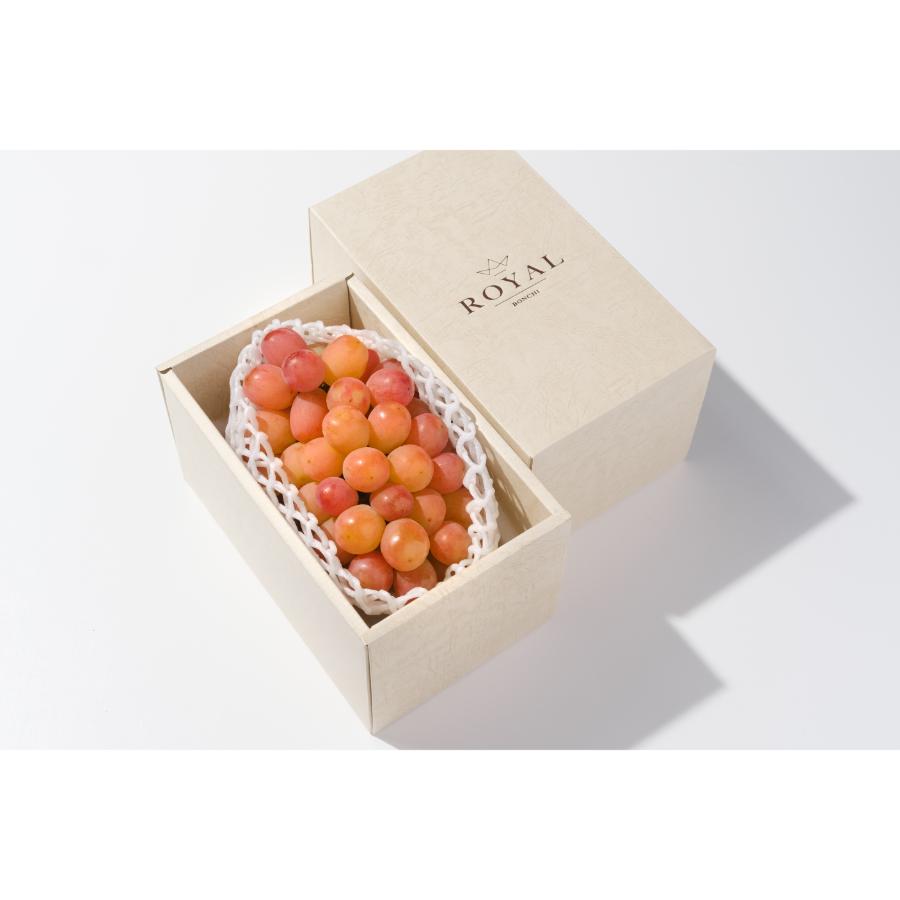 ＜Bonchi＞甲州市産 大粒サンシャインレッド1房入630g自然農法