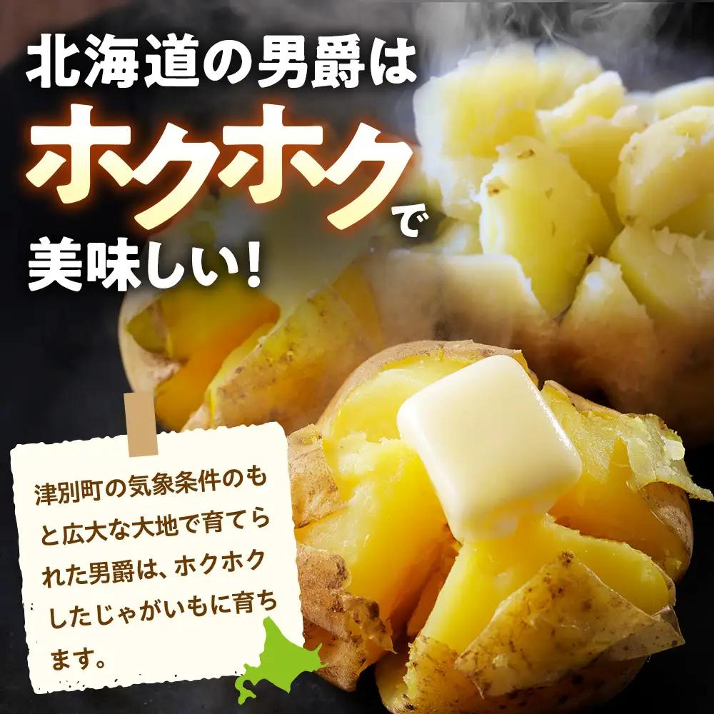 【先行受付】R8年産 特別栽培（男爵）じゃがいも 20kg  | ジャガイモ 芋 男爵 馬鈴薯 大容量 新鮮 野菜 煮物 カレー シチュー ポテト 保存 特産 産地直送 北海道 津別町 送料無料