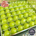 【ふるさと納税】「粒々ぶどう36粒」シャインマスカットの宝石箱【令和6年8月より発送開始】（茨城県共通返礼品：かすみがうら市産） ぶどう ブドウ 葡萄 果物 フルーツ 茨城県産