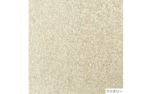 T113 4色から選べるファブリーズの消臭・抗菌ナイロンラグ ２サイズ展開(アイボリー/200×250cm)